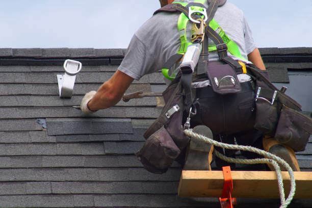 Best Roof Waterproofing Services  in Ludowici, GA