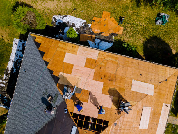 Quick and Trustworthy Emergency Roof Repair Services in Ludowici, GA