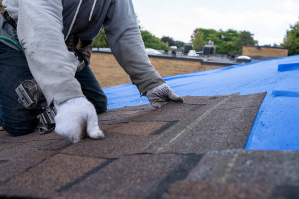 Roof Waterproofing Services in Ludowici, GA
