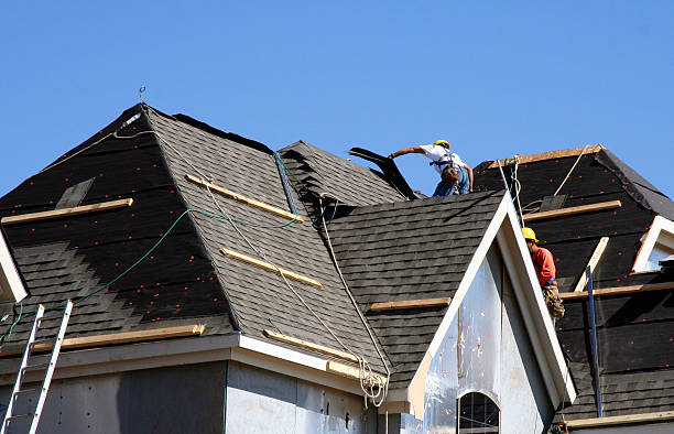 Best Shingle Roofing Installation  in Ludowici, GA