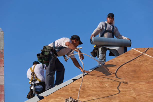 Quick and Trustworthy Emergency Roof Repair Services in Ludowici, GA
