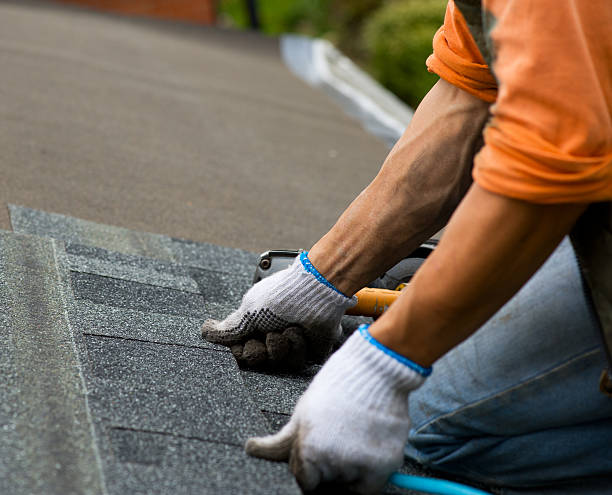Best Local Roofing Companies  in Ludowici, GA
