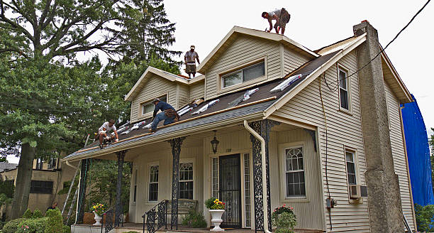 Best Residential Roofing Contractor  in Ludowici, GA