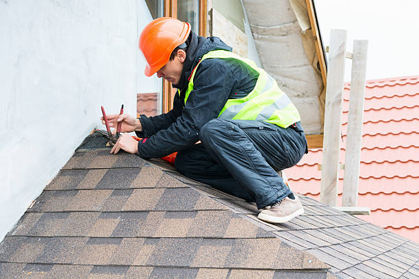 Best New Roof Installation  in Ludowici, GA
