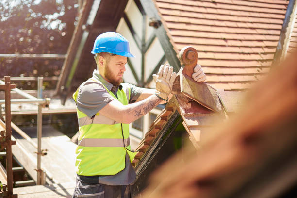 Best Roof Leak Repair  in Ludowici, GA
