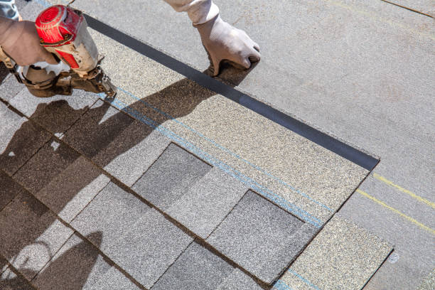 Best Emergency Roof Repair  in Ludowici, GA