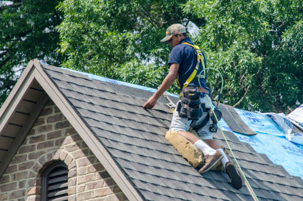 Residential Roof Replacement in Ludowici, GA